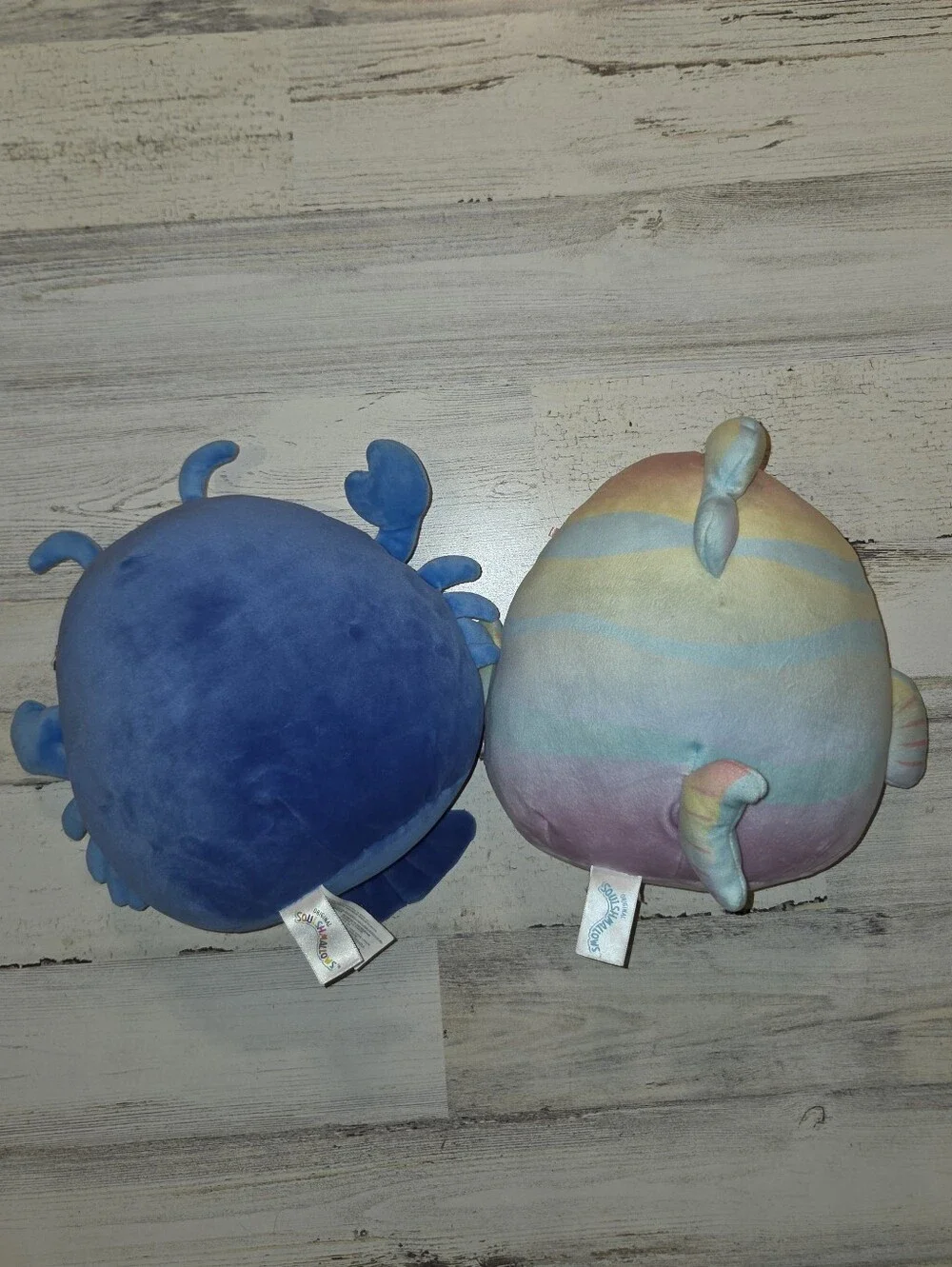 Squishmallows Blue Crab & Pastel Rainbow Fish Plush Duo Lobert & Canda Lot Of 2